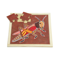 Aboriginal Grasshopper Square Puzzle