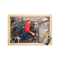 Astronaut Pilot Puzzle