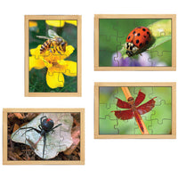 Garden Bugs Puzzles with FREE Posters