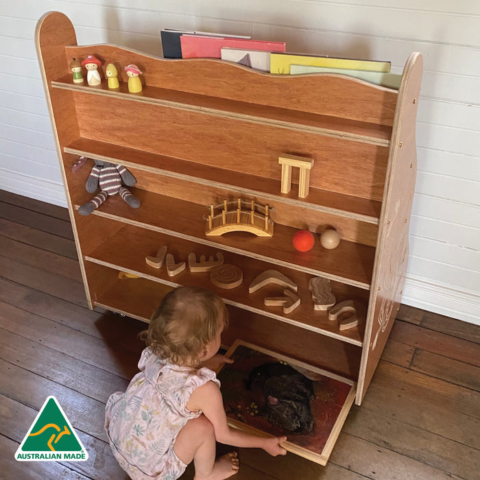 Indigenous Goanna Book Shelf