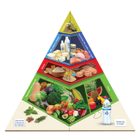 Large Food Pyramid Floor Puzzle