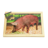 Pig Farm Puzzle