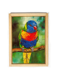 Rainbow Lorikeet Puzzle