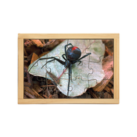 Redback Spider Puzzle